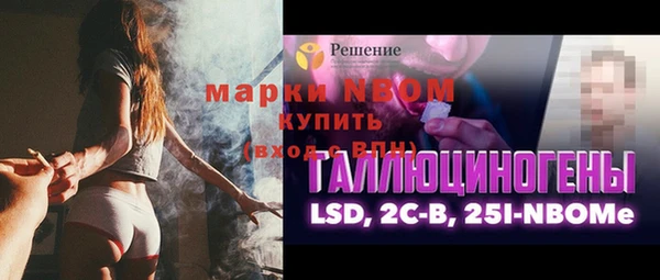 шишки Арсеньев