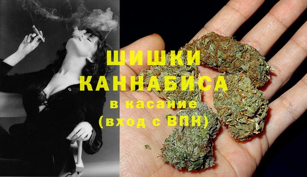 шишки Арсеньев