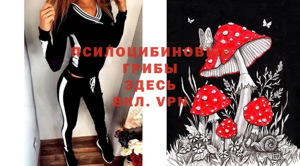 шишки Арсеньев