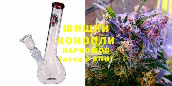 шишки Арсеньев