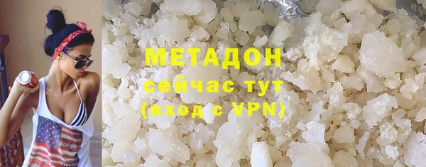 шишки Арсеньев