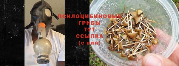 шишки Арсеньев
