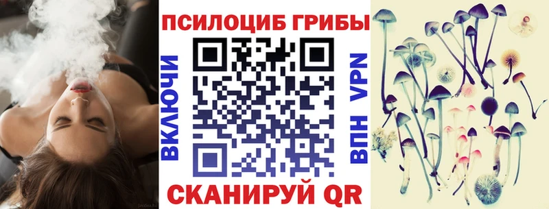 omg вход как найти закладки Пудож Галлюциногенные грибы Magic Shrooms